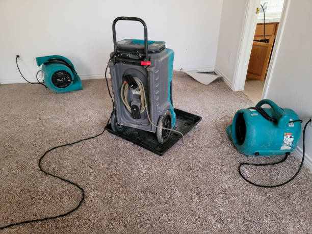 Best Ceiling water damage repair  in Eureka Mill, SC
