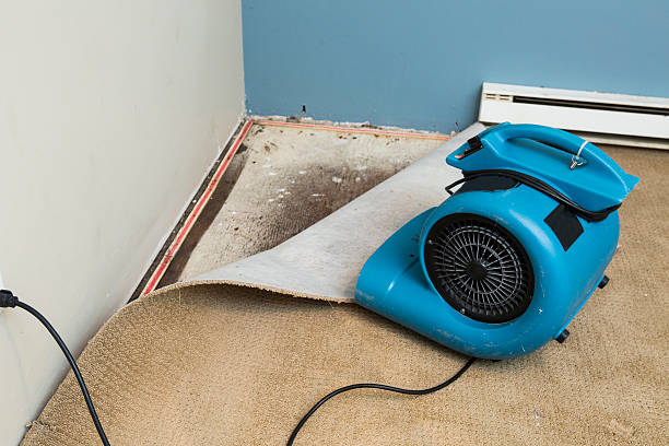 Best Emergency water damage restoration  in Eureka Mill, SC